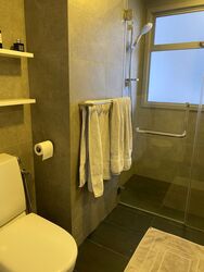 Residences @ Evelyn (D11), Condominium #324404311